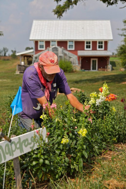 August 2022 Newsletter (Image: David, Grower Staff, tending to flowers. The Murray Building and greenhouse are in the background.)