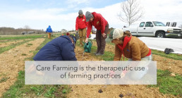 Watch our "What is Care Farming?" video. (Photo: beginning frame/photo from our video -- individuals working out in the fields & at the bottom is the following text: "Care Farming is the therapeutic use of farming practices".)