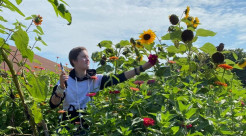 CFN Member Spotlight: Learning 4 Life Farm (Image: Person reaching out to touch sunflowers.)