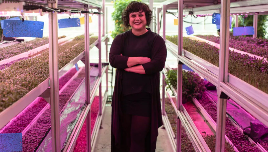 woman standing in front of plants growing under lights