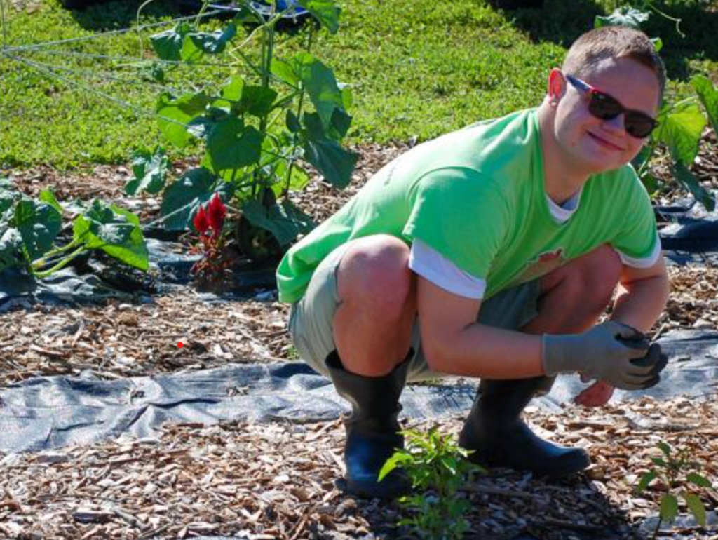 proud work squatting in front of growing tomato plants