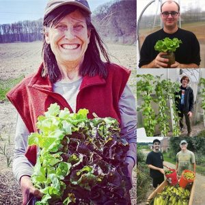 Green Bridge Growers 2