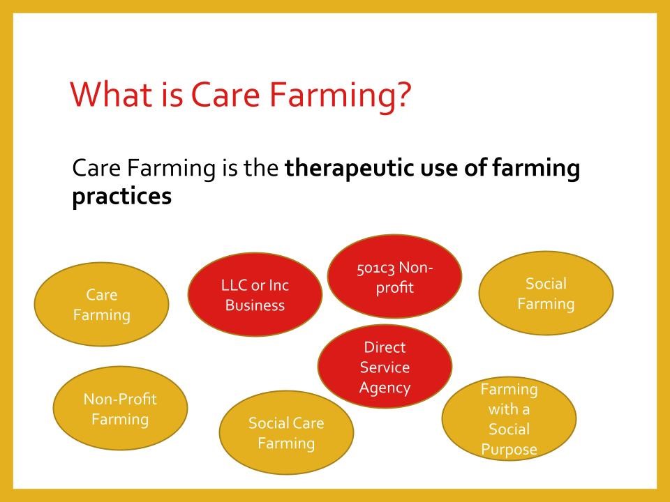 Image showing Unique Bubbles: Care Farming, Non-Profit Farming, Social Care Farming, Social Farming, Farming with a Social Purpose. Care Farming can be a LLC or Business, 501c3 Non-profit, or Direct Service Agency