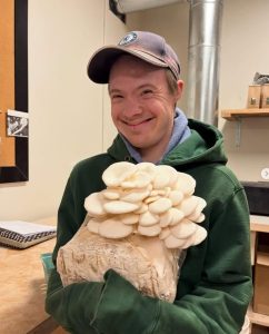 Frog Hollow Farm mushrooms