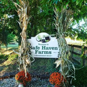 Save Haven Farms sign