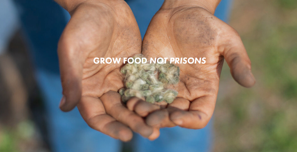 Grow food not prisons