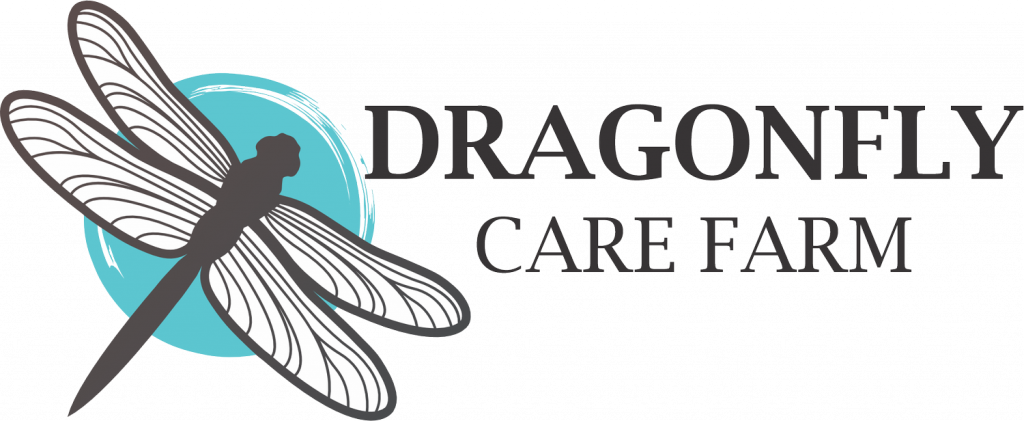 Dragonfly+Care+Farm+Logo+horizontal+COLOUR