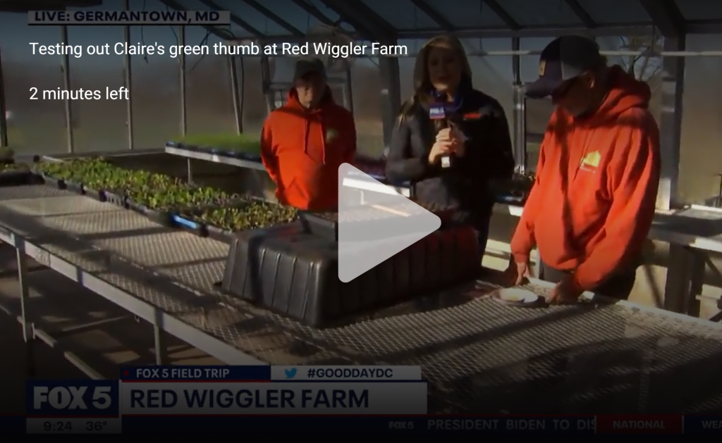 two people in red sweatshirts are seeding in a greenhouse being interviewed by a TV reporter