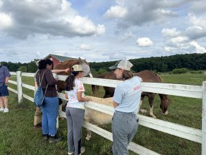 2 people standing with a horse across at Madison Fields farm