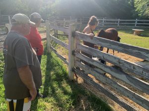 visiting the horse at Cobblestone Farm