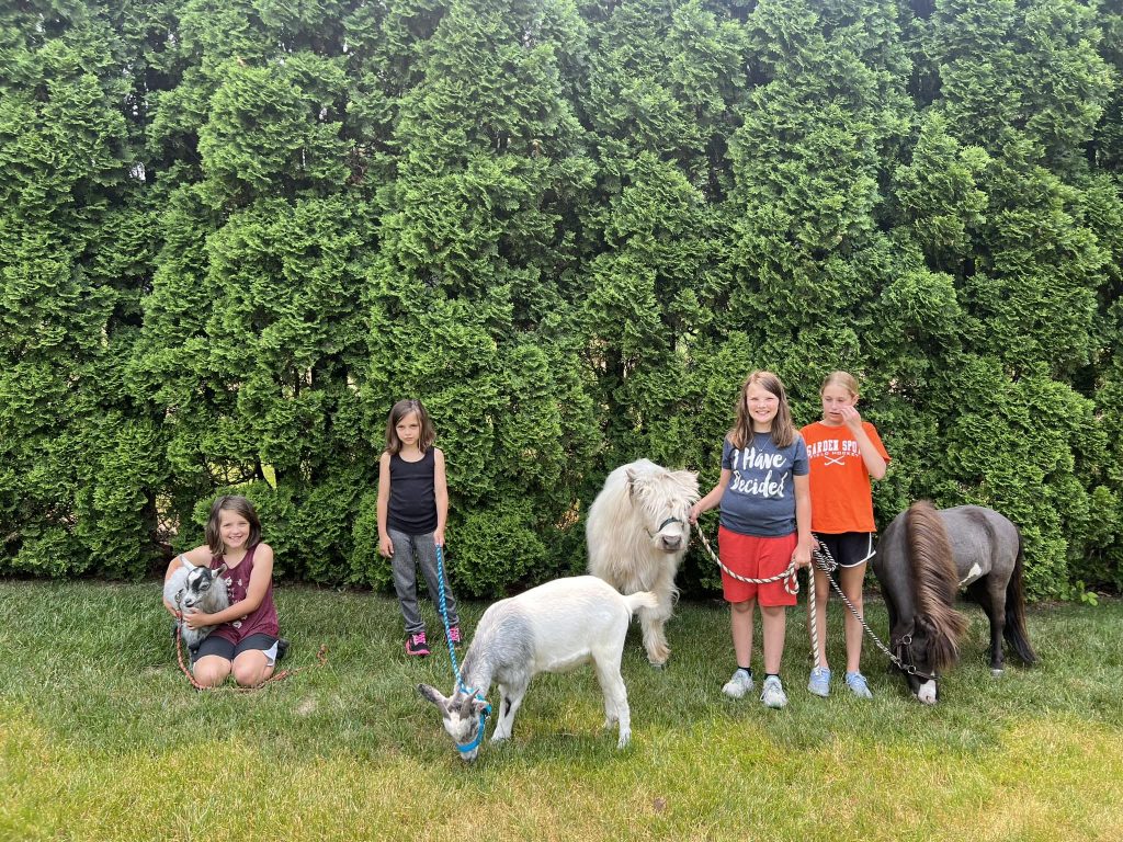 A Little Love Farm goats and kids
