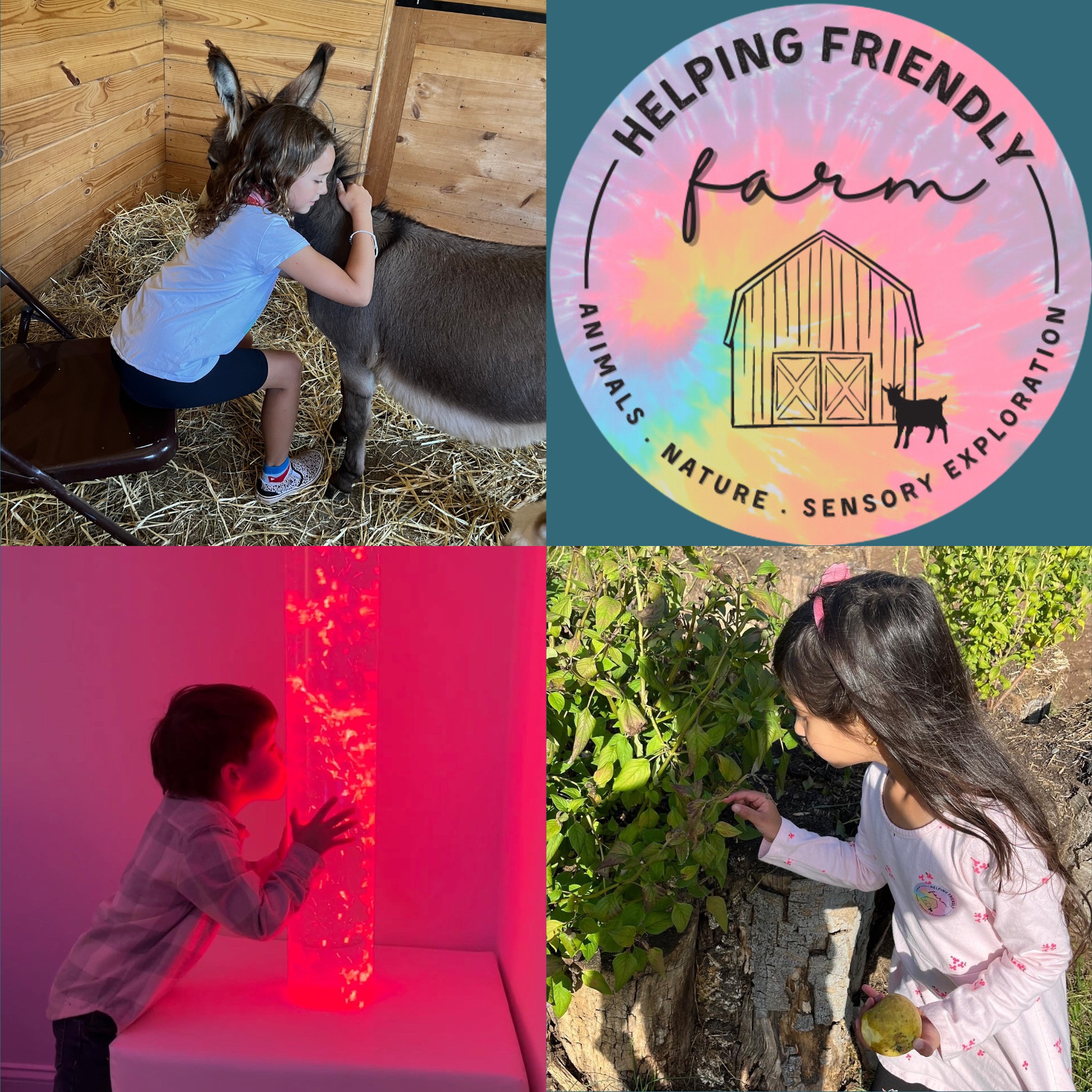 Helping Friendly Farm Photo Collage