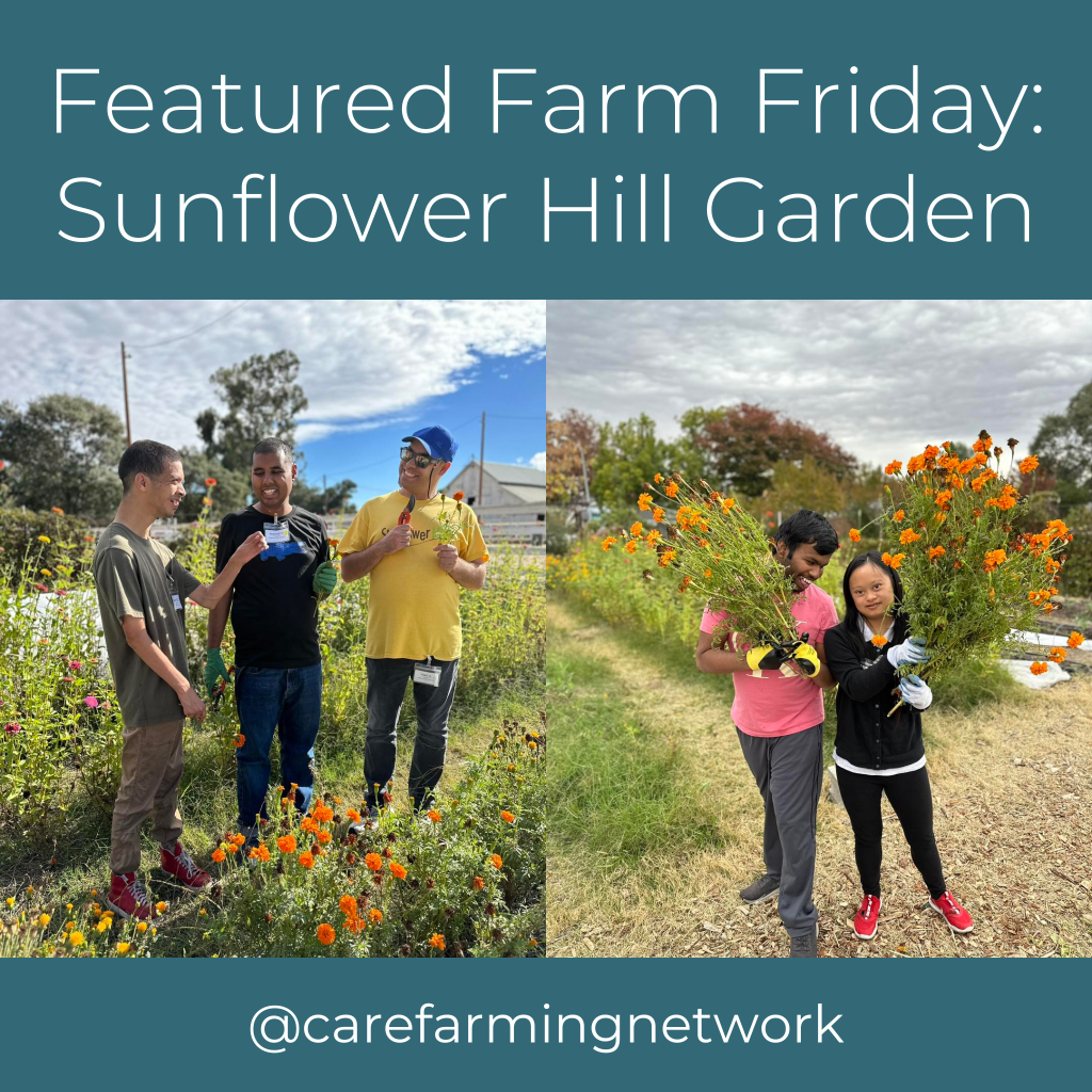 Sunflower Hill Garden