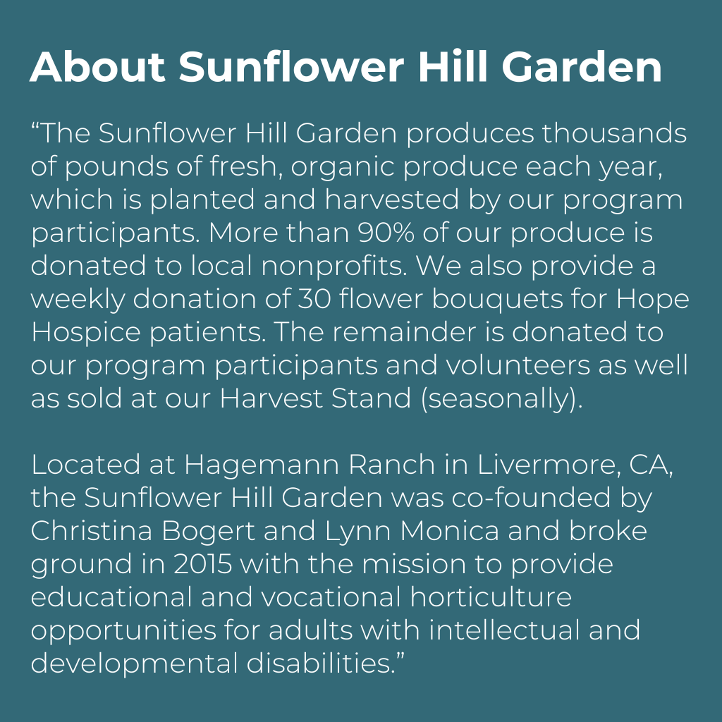 Sunflower Hill Garden