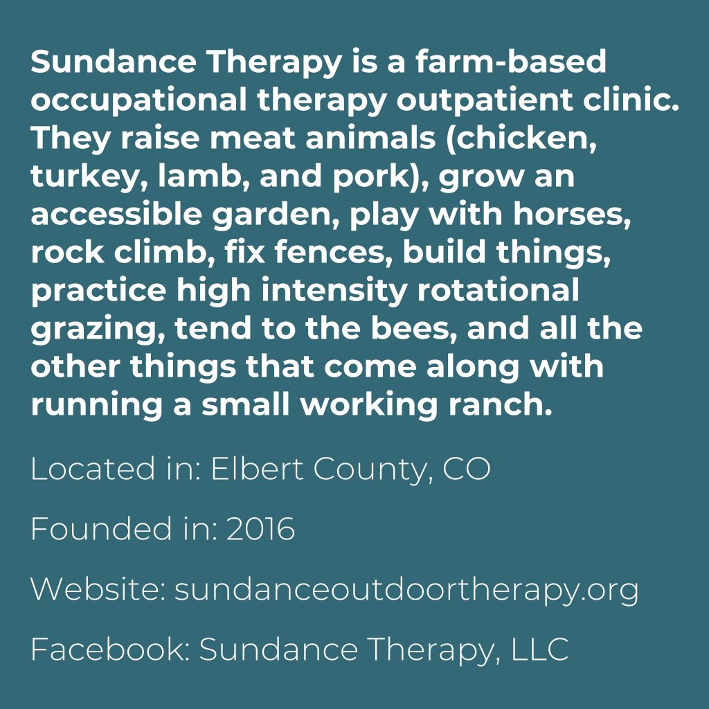 About Sundance Therapy