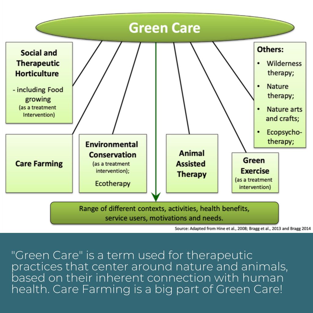 Green Care Lab 5