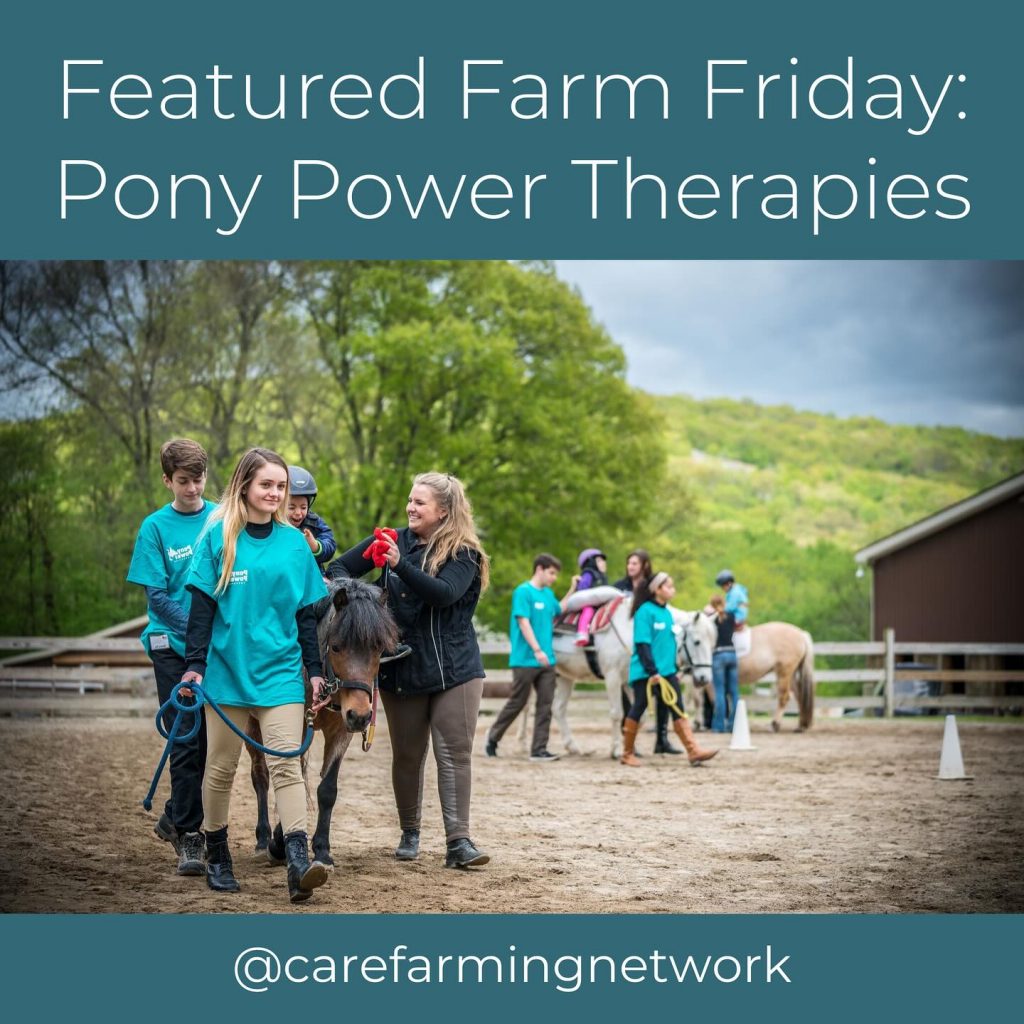 Pony Power Therapies 1