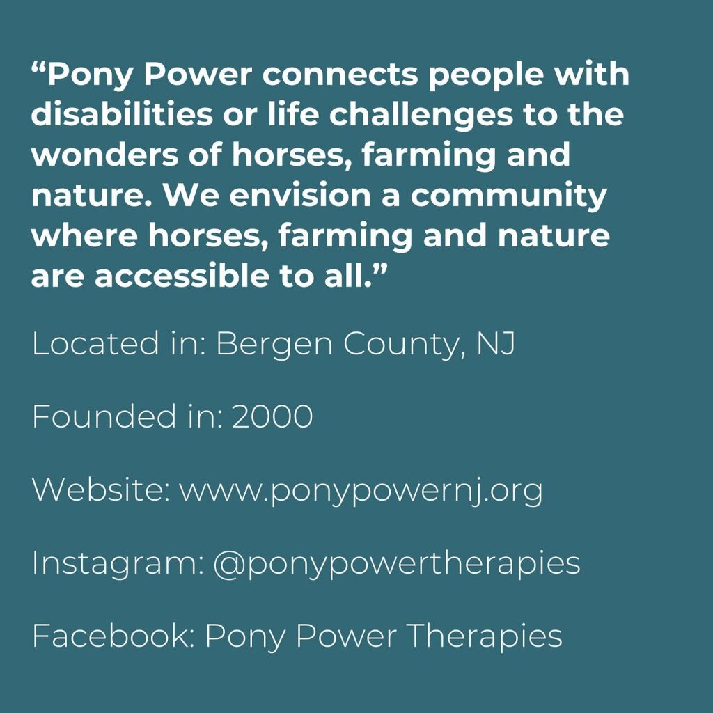 Pony Power Therapies 2