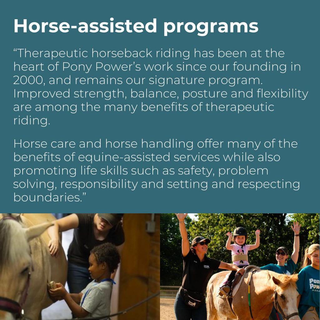 Pony Power Therapies 4