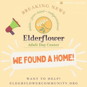 Elderflower announcement