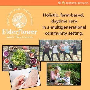 Elderflower collage