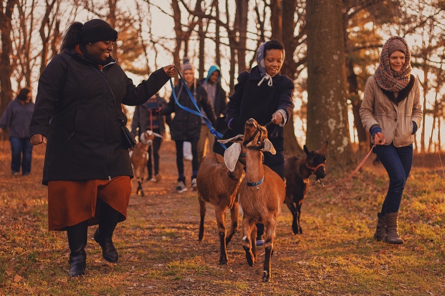 Philly Goat Project