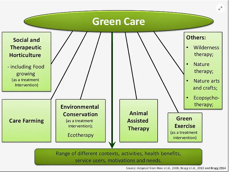 flowchart showing the green care encompasses many different types of terminiologies