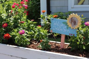 68748287_2999413843418898_340989973459107840_n-1