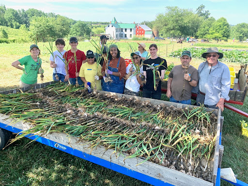 people behind their garlic harvest