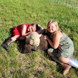 lambs-and-johnsons_orig-1