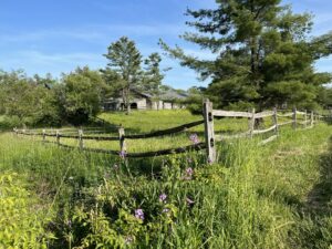 pasture with fence