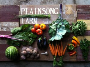 Plainsong Farm veggies