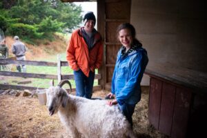 Camphill Soltane sheep