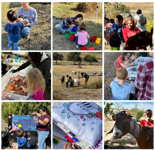 Children and adults interacting with animals and activities at Simple Sparrow