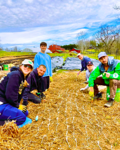 Link to A Farm Less Ordinary IG page